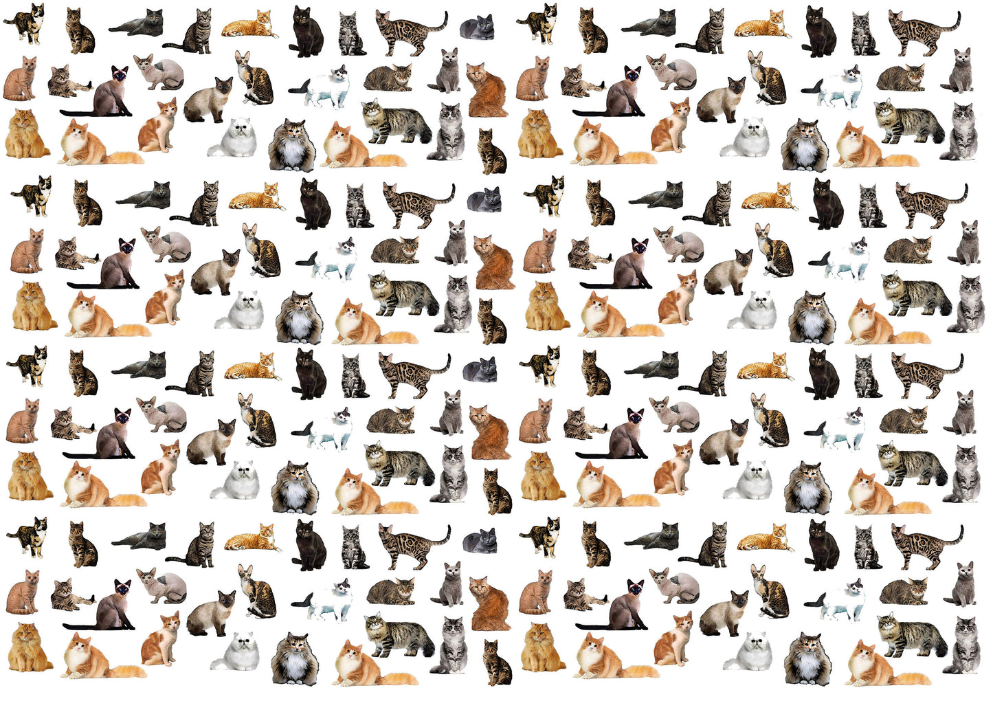 cat place mat