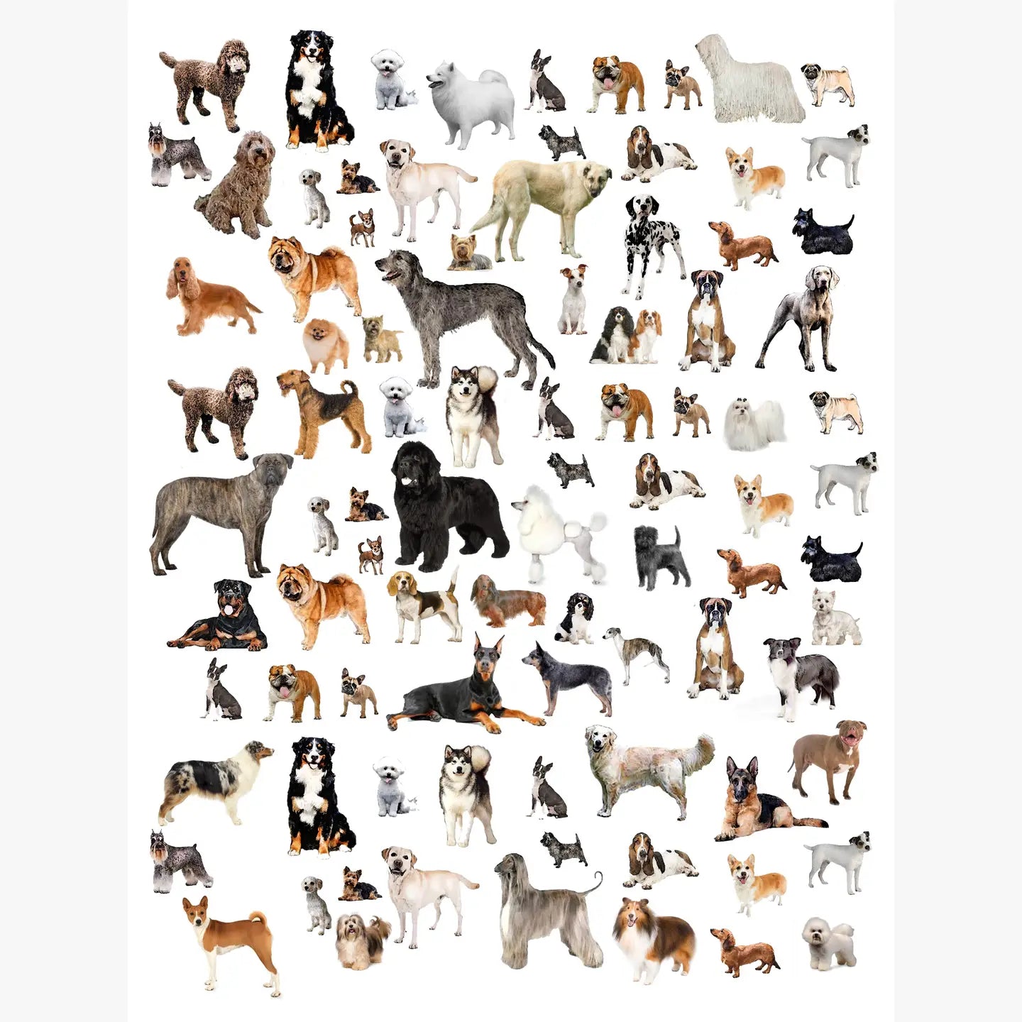 dogs cotton floursack kitchen towel 18 x 24 inches