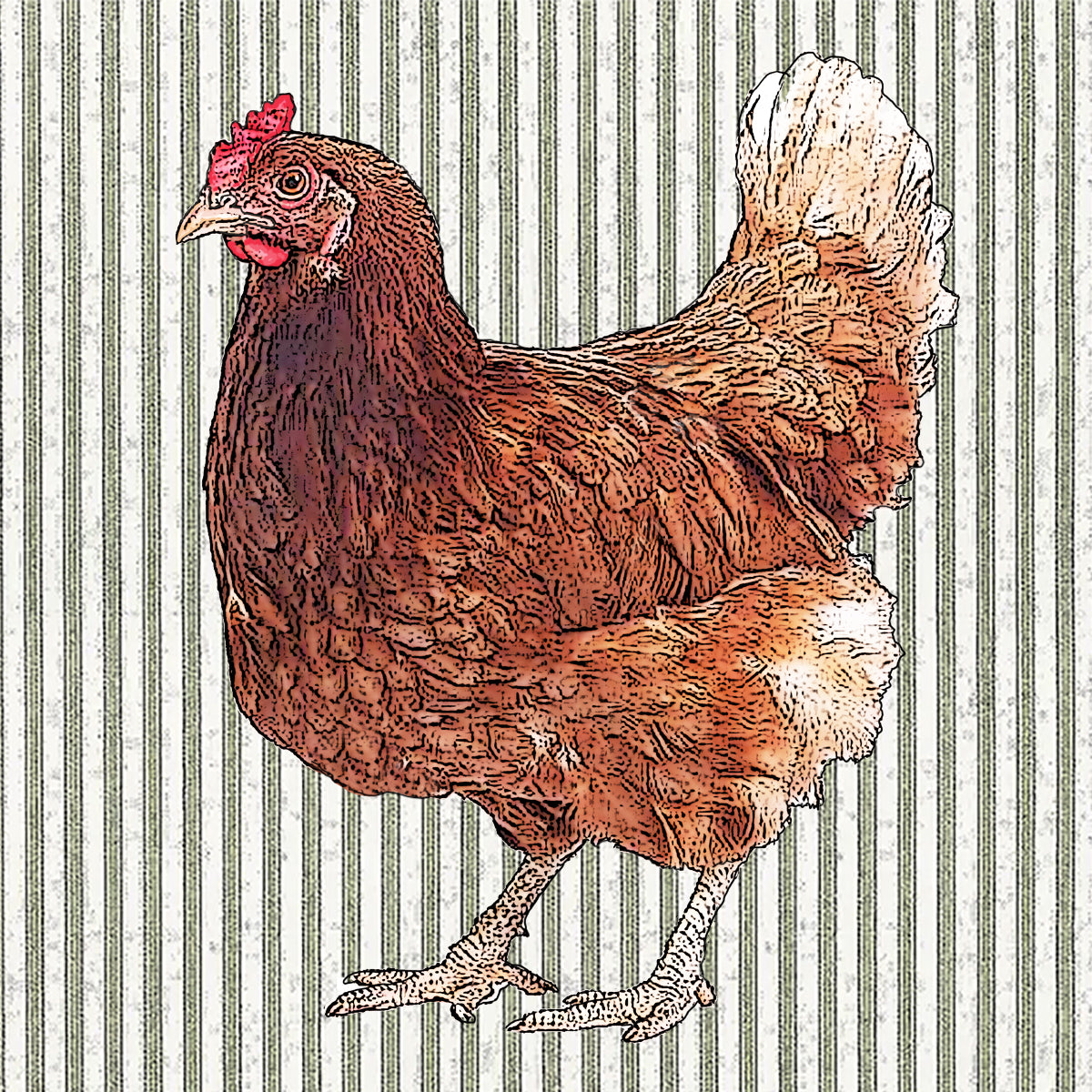 hen paper cardboard set of 4 coasters