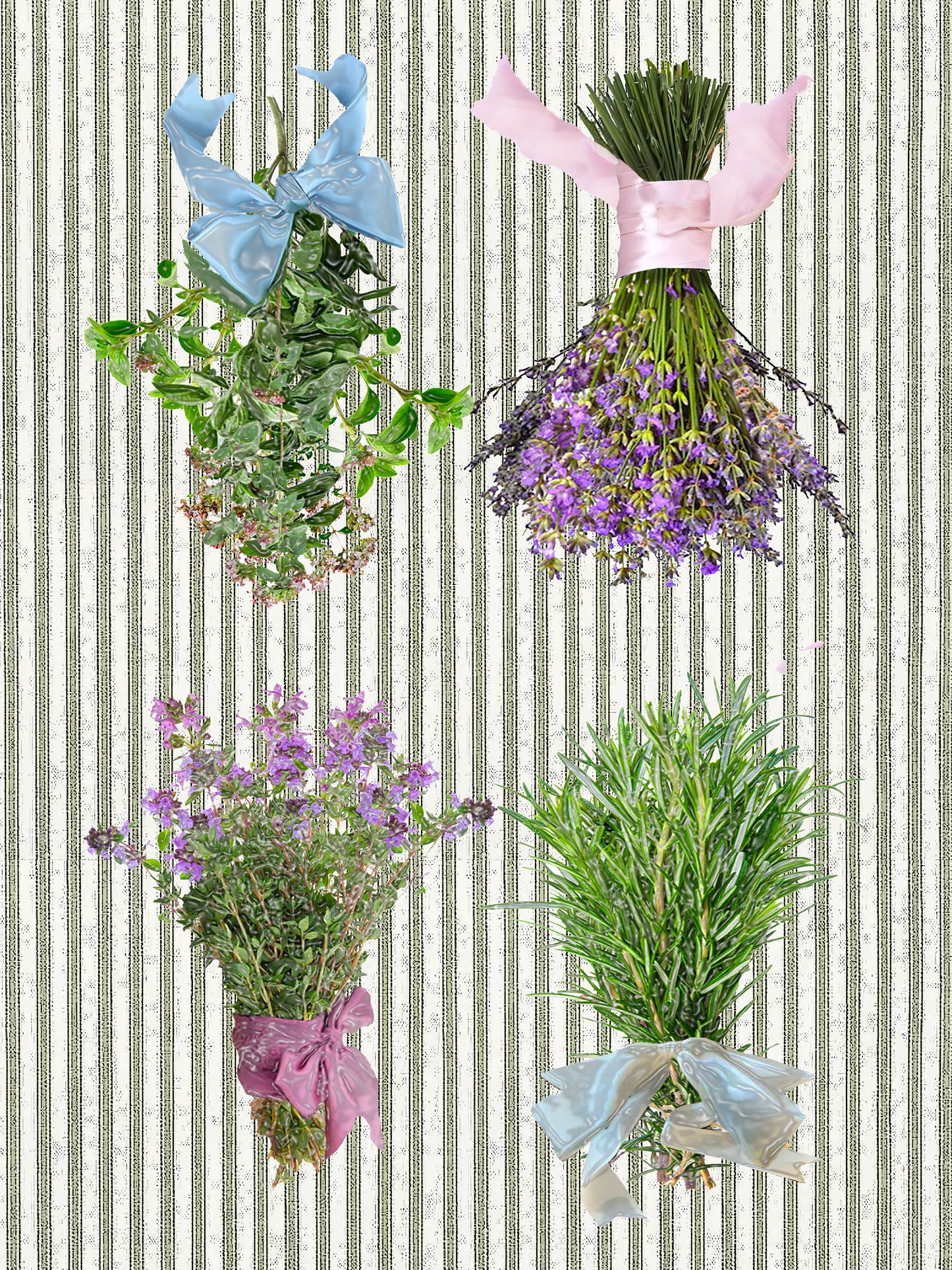 herbs (ticking stripe) 100% cotton flour sack kitchen towel 18 x 24 inches