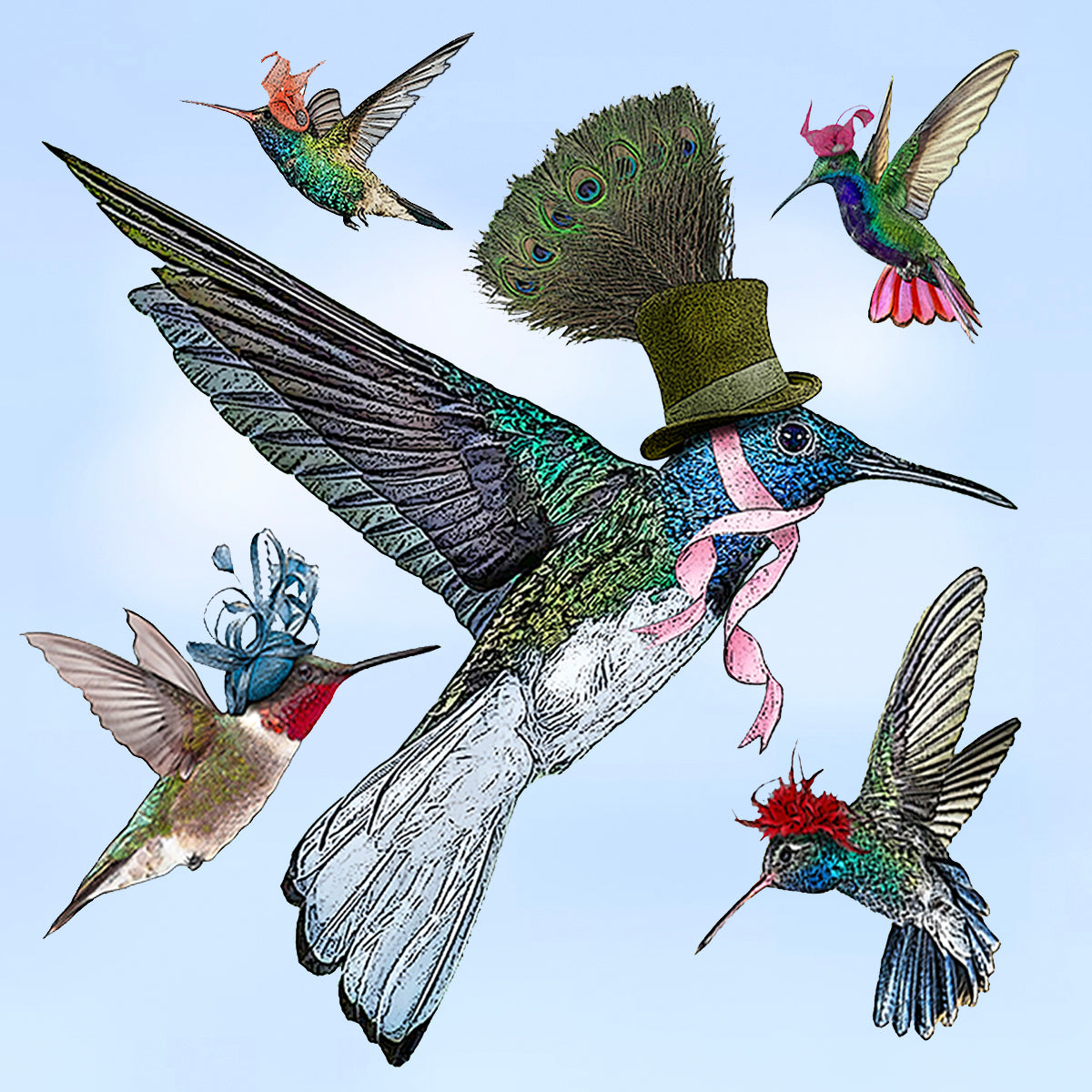 hummingbird paper cardboard set of 4 coasters