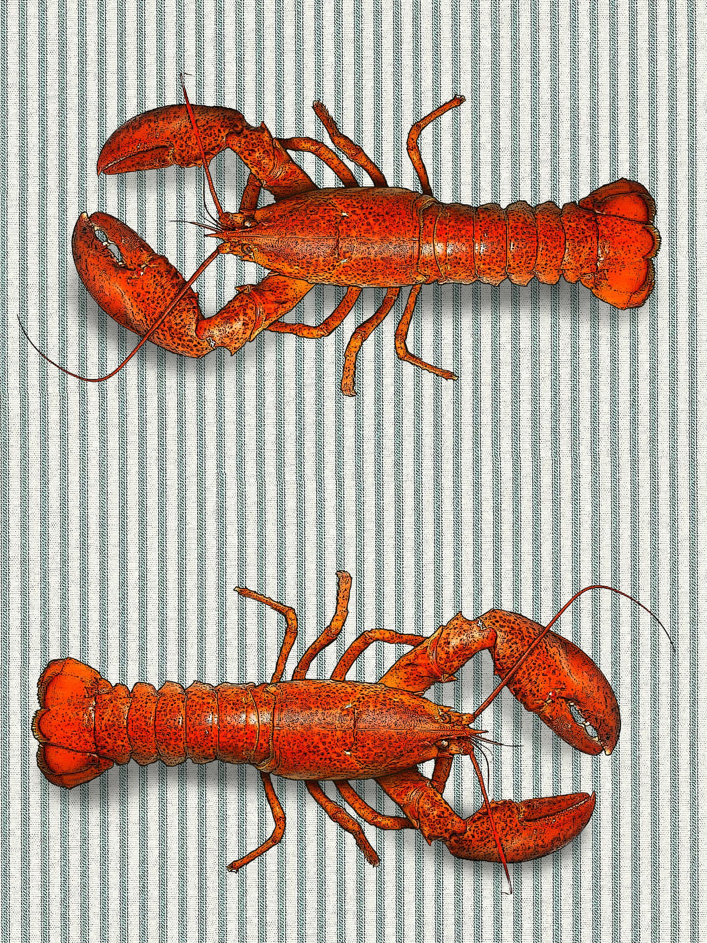 lobster (ticking stripe) 100% cotton flour sack kitchen towel 18 x 24 inches
