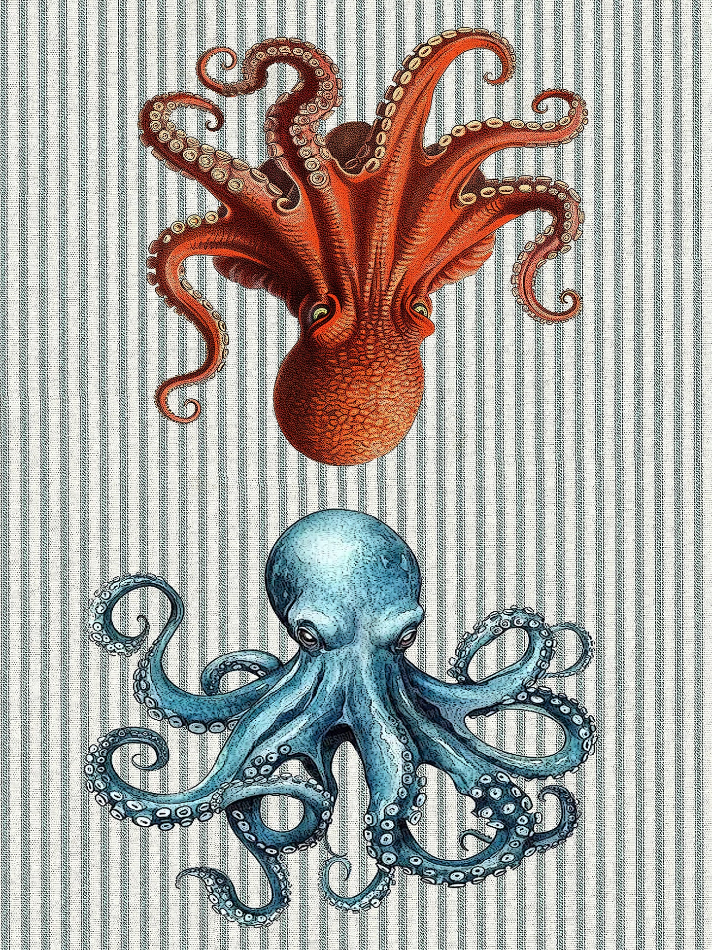 Octopus 100% cotton flour sack kitchen towel
