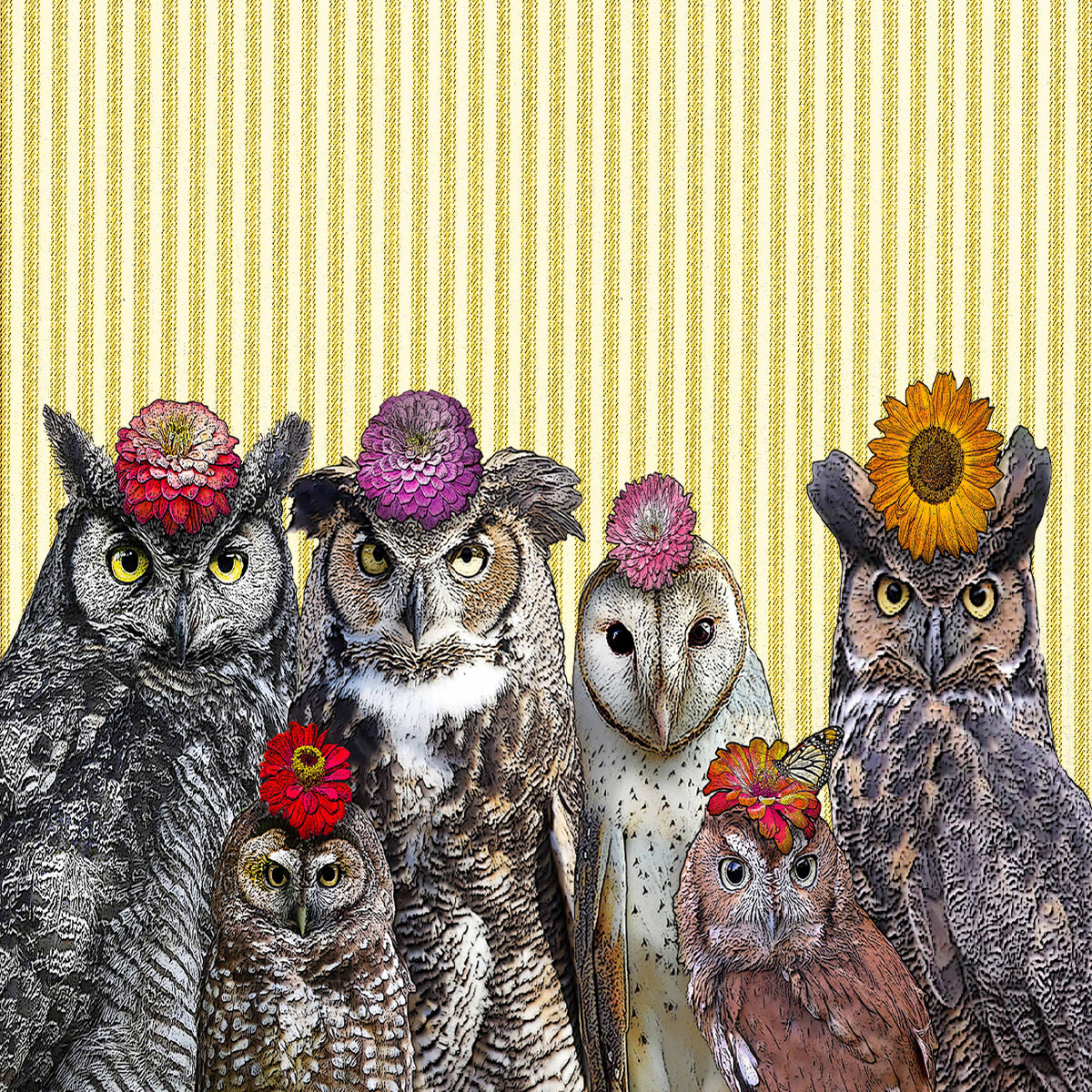 owl cardboard paper set of 4 coasters