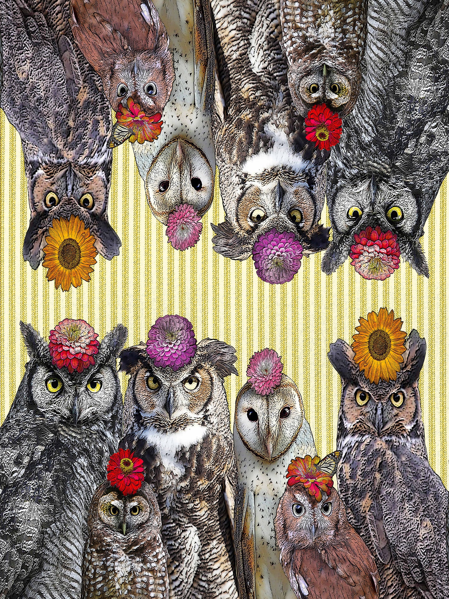 owls with flowers (ticking stripe) kitchen towel 100% cotton flour sack 18 x 24 inches