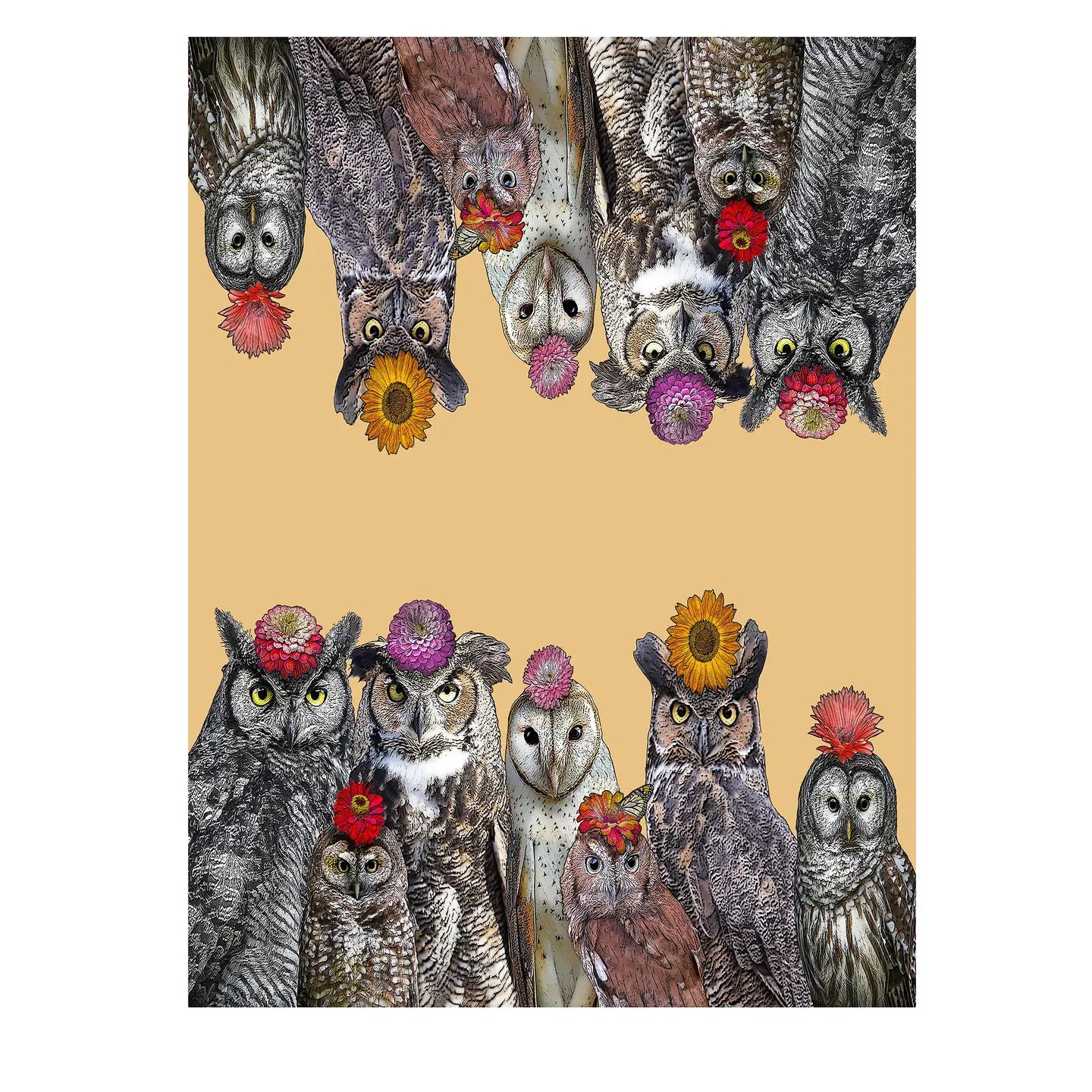 Owls with flowers flour sack kitchen towel 18 x 24 inches
