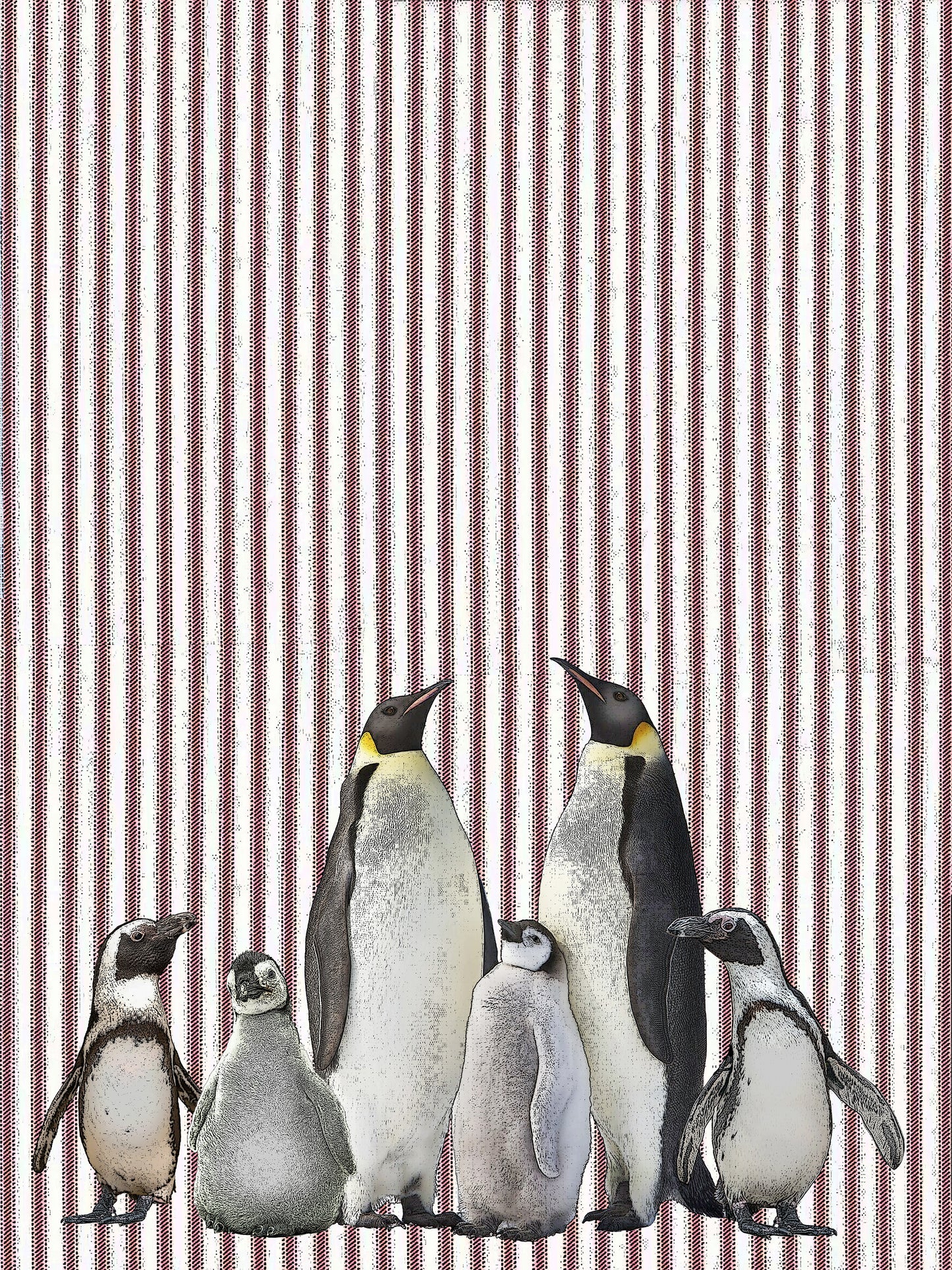 penguins (ticking stripe) 100% cotton flour sack kitchen towel 18 x 24 inches