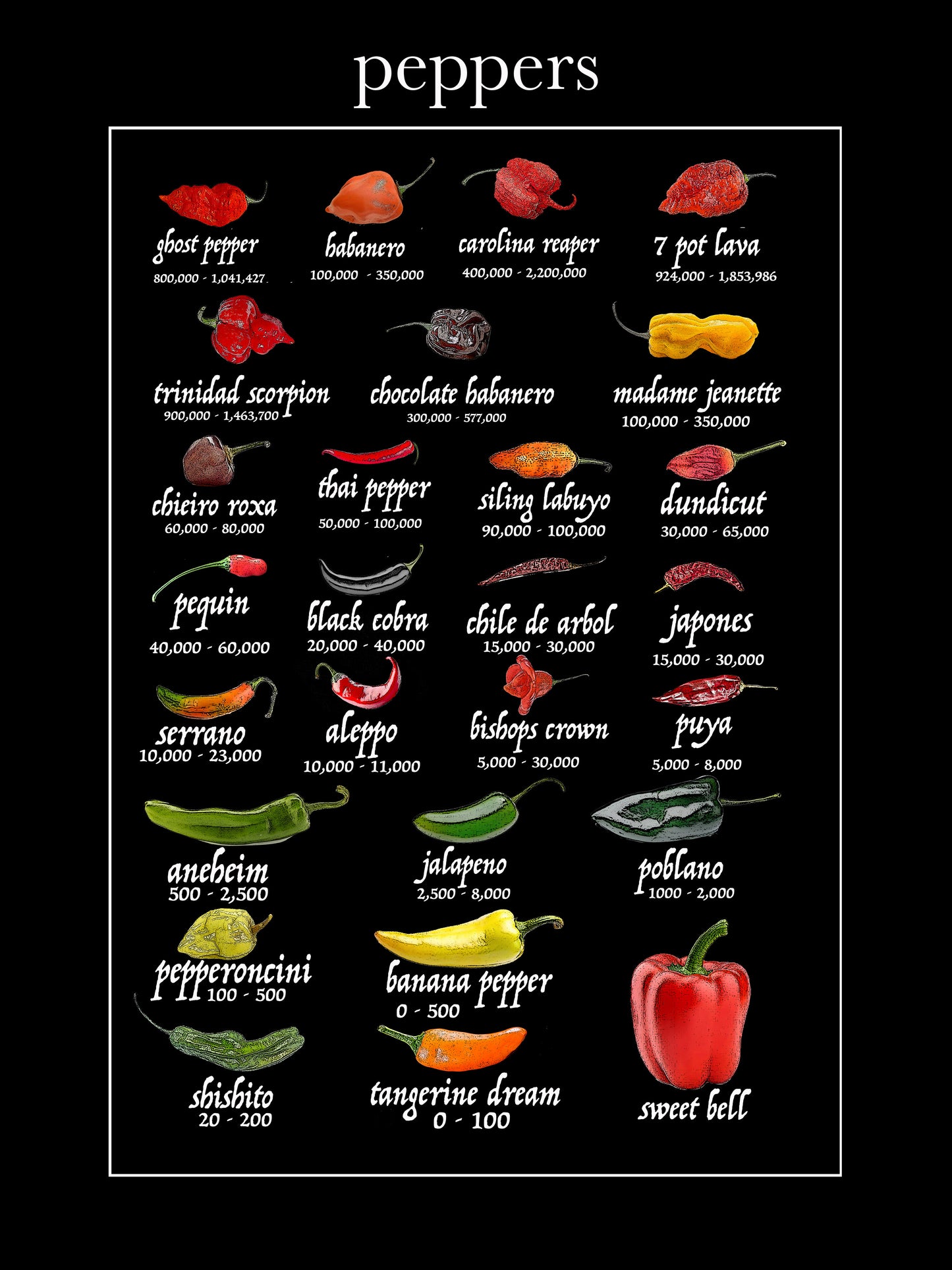 peppers 100% cotton flour sack kitchen towel 18 x 24 inches
