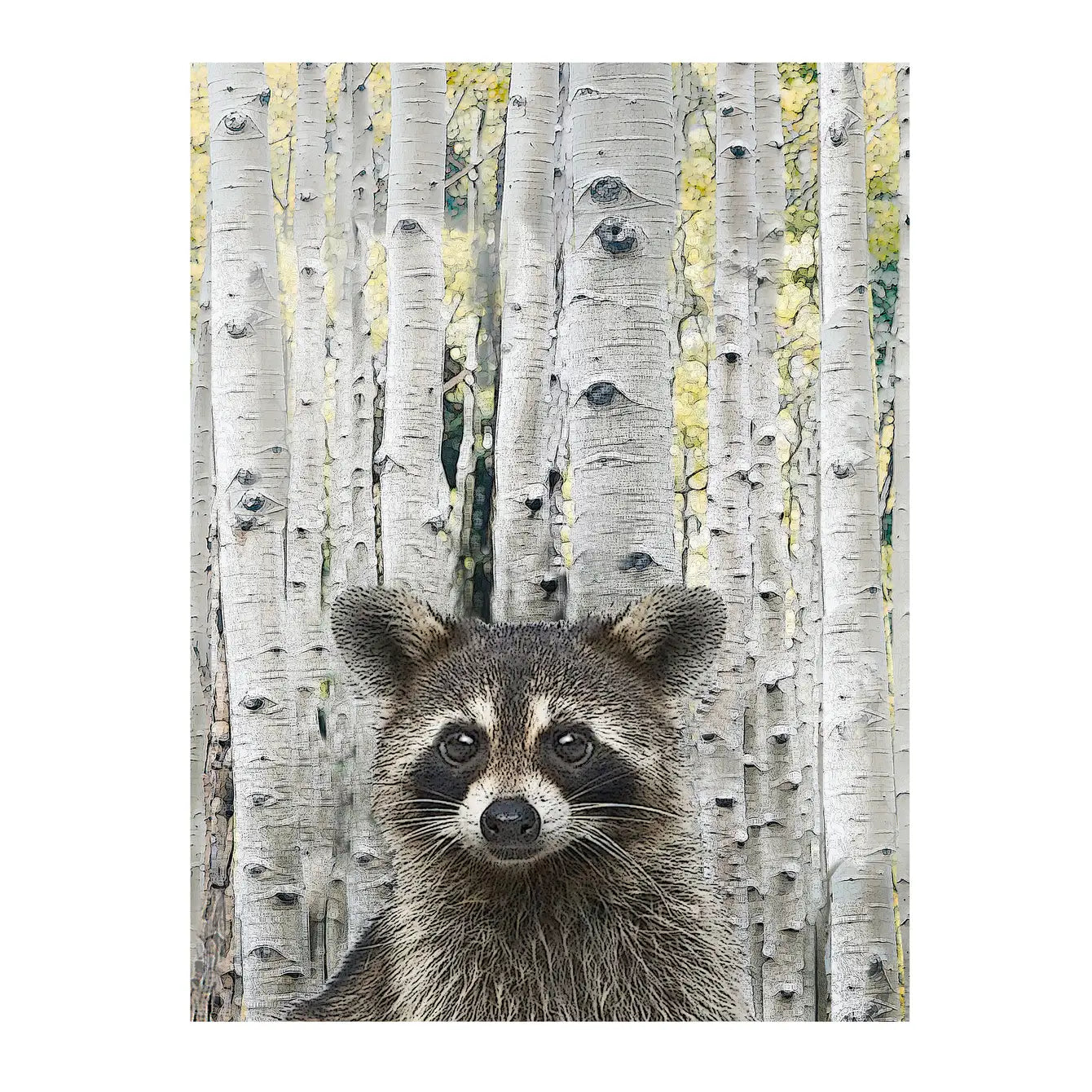 raccoon 100% cotton flour sack kitchen towel 18 x 24"