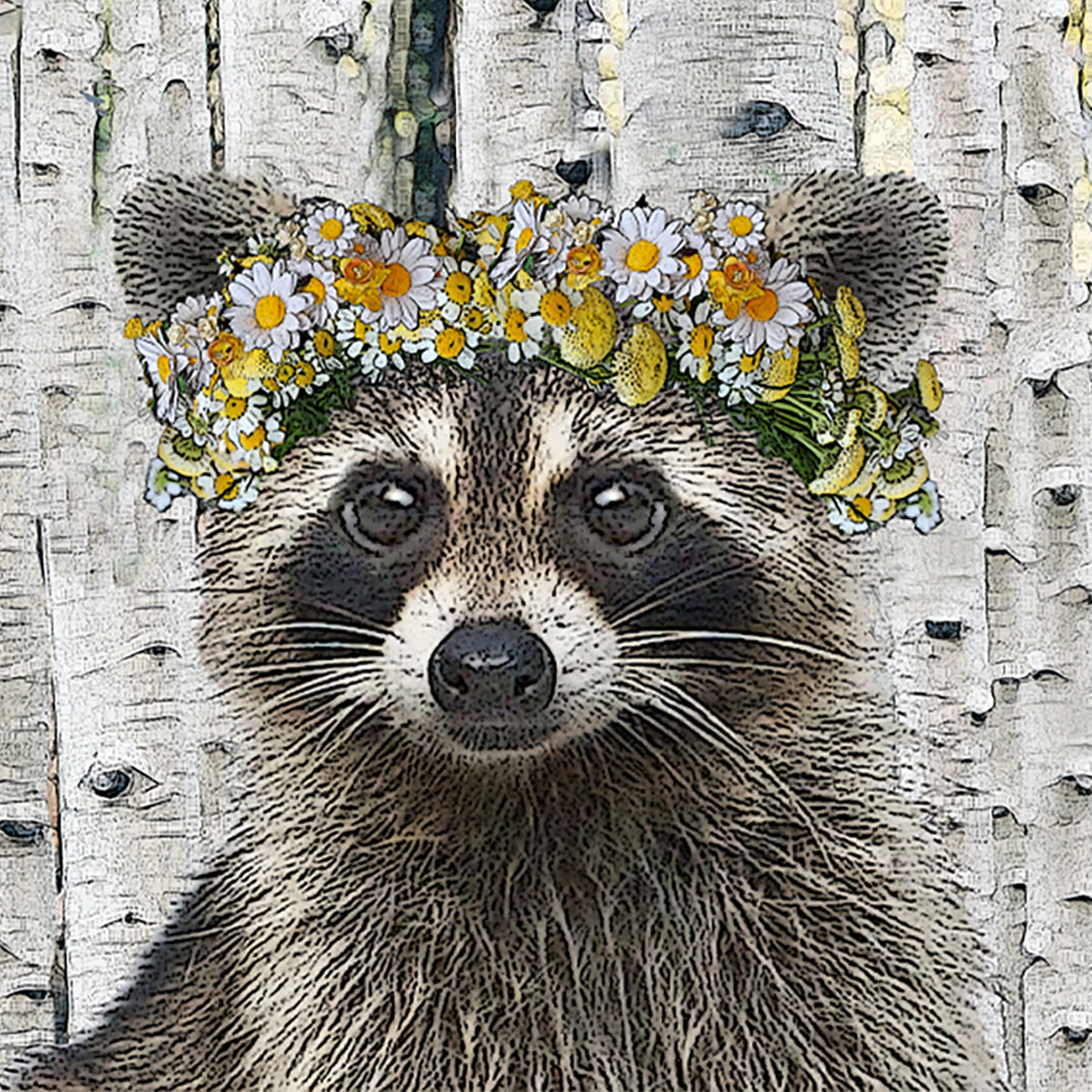 raccoon cardboard paper coaster set of 4