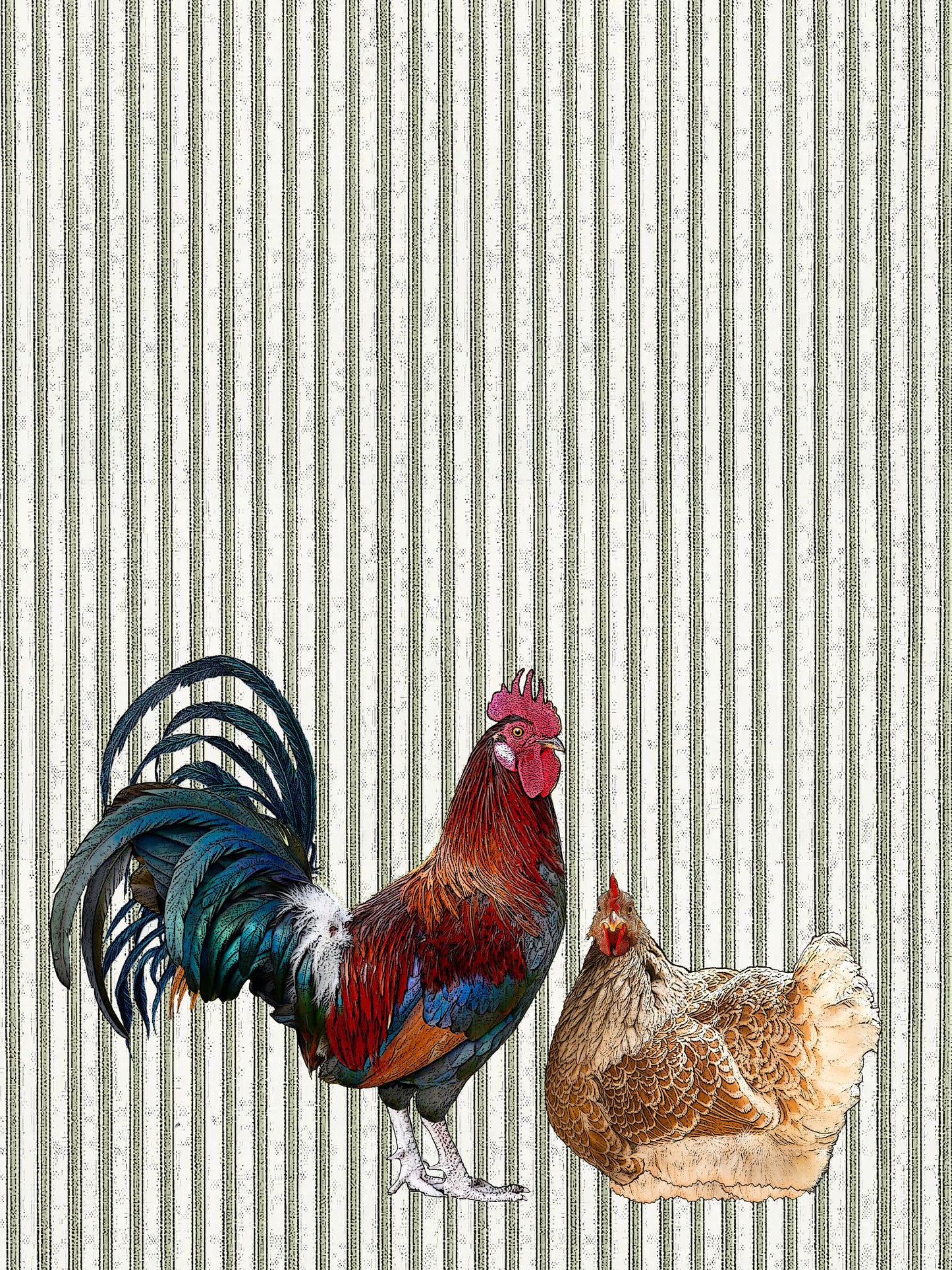 chickens (ticking stripe) 100% cotton flour sack kitchen towel 18 x 24 inches