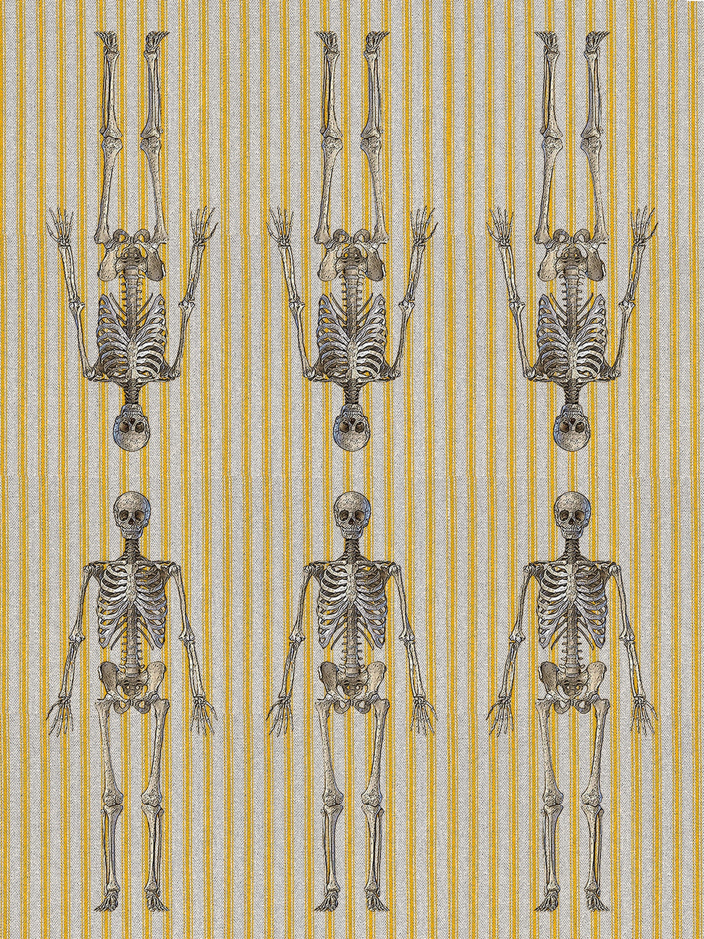 vintage Halloween skeleton 100% cotton flour sack kitchen towel 18 x 24 inches