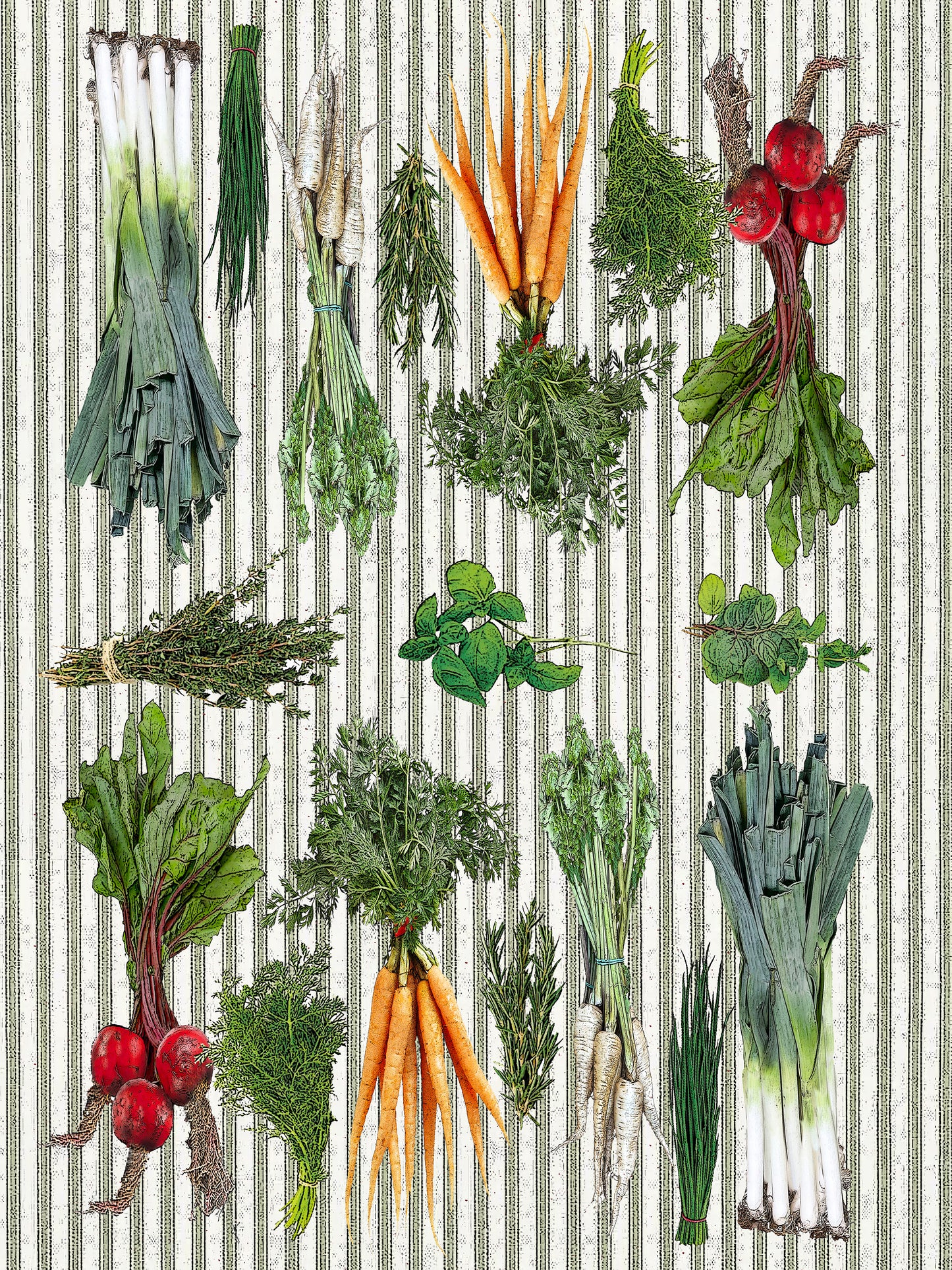 vegetable and herbs (ticking stripe) cotton floursack kitchen towel 18 x 24 inches