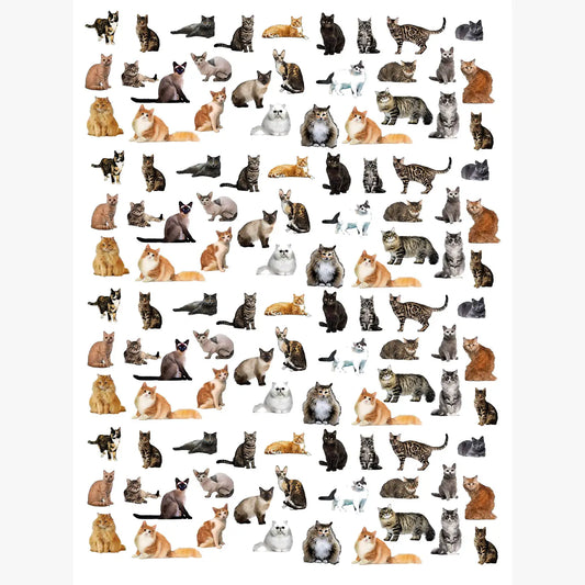 cat kitchen towel 18 x 24 inches flour sack material