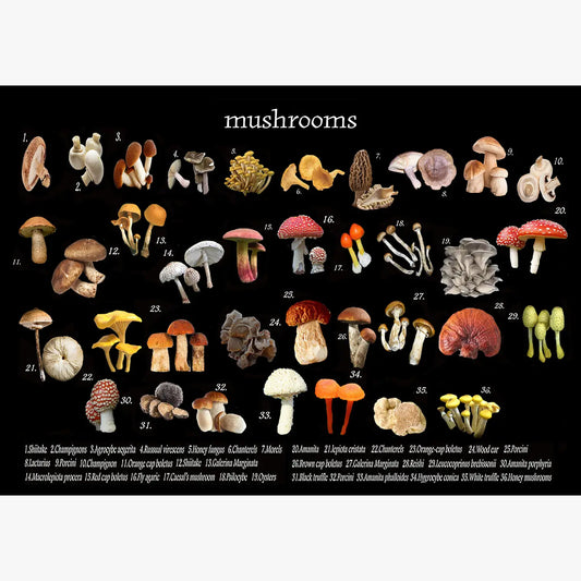 mushroom vinyl placemat 12 x 17 inches