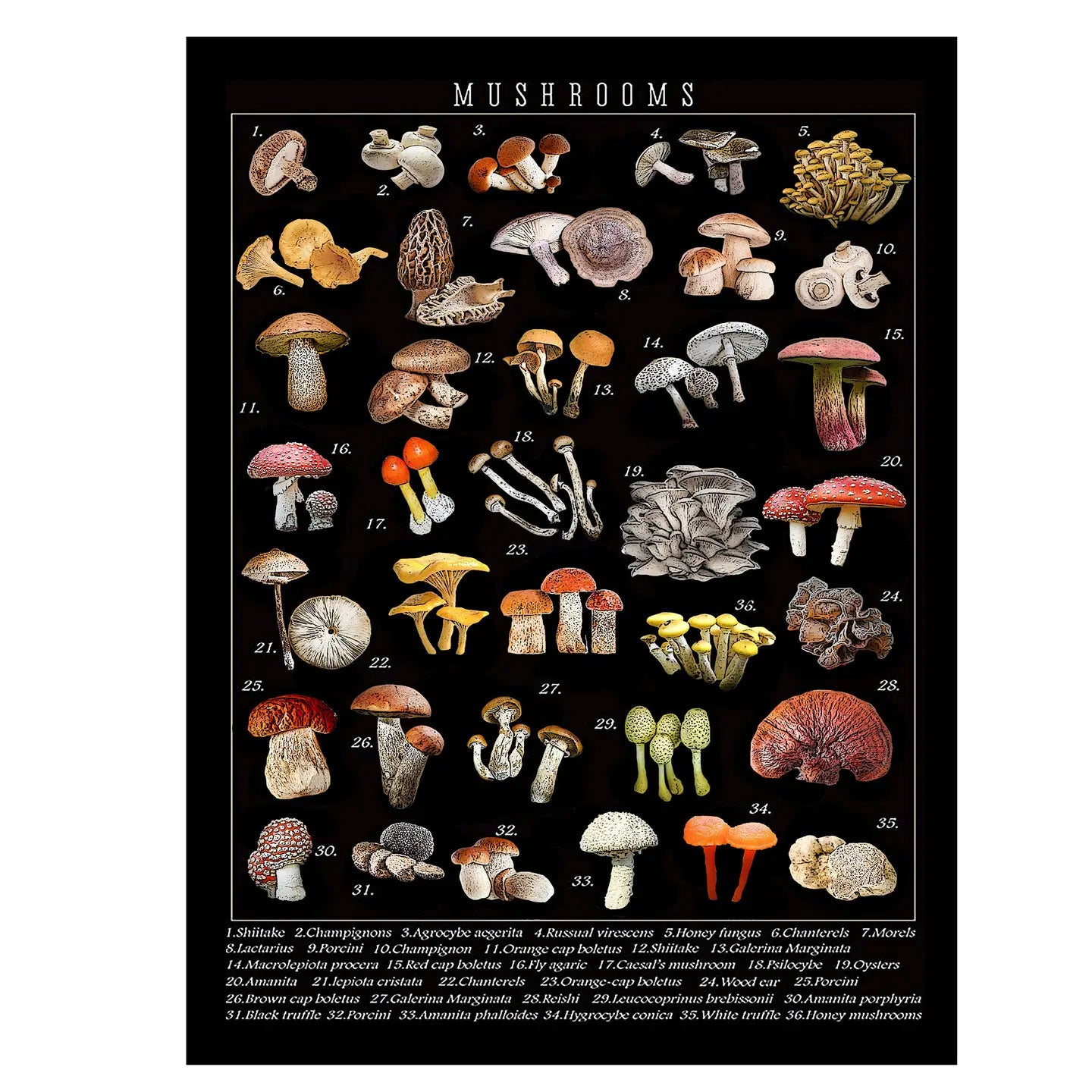 mushroom kitchen towel 18 x 24 inches flour sack material