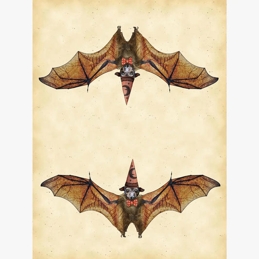 bat kitchen towel 18 x 24 inches flour sack material