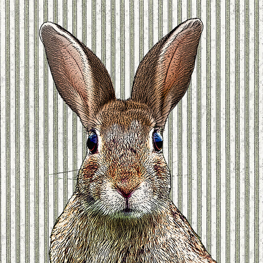 bunny coaster set of 4 cardboard paper bar coaster