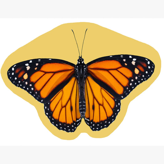 butterfly placemat