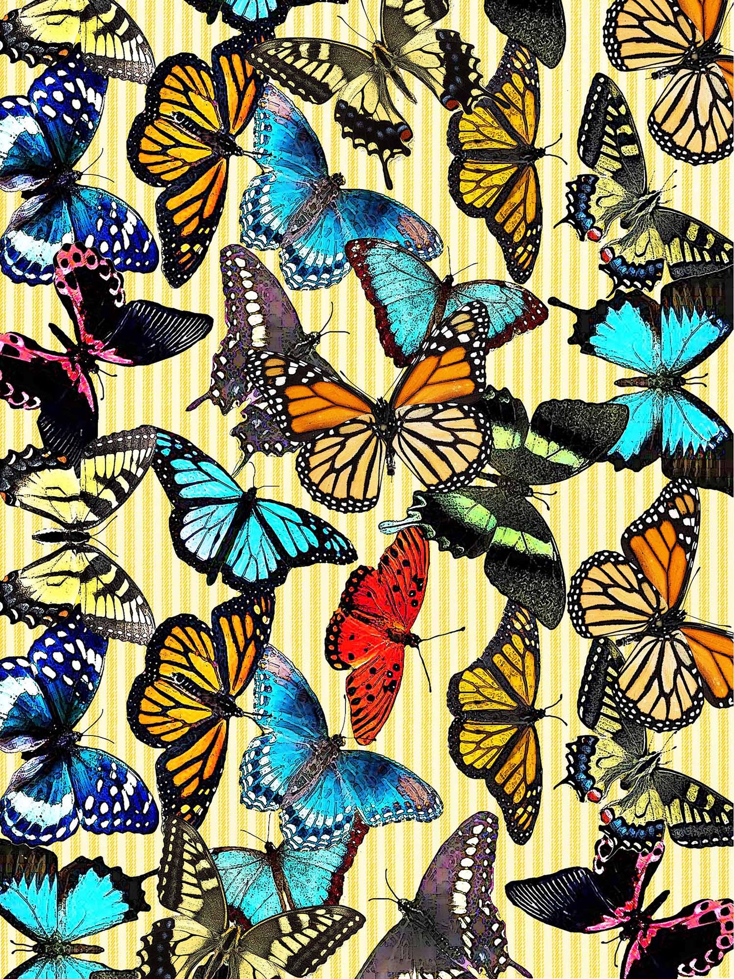 Butterfly 100% cotton flour sack kitchen towel