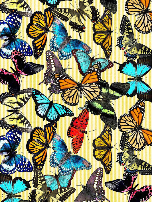 Butterfly 100% cotton flour sack kitchen towel