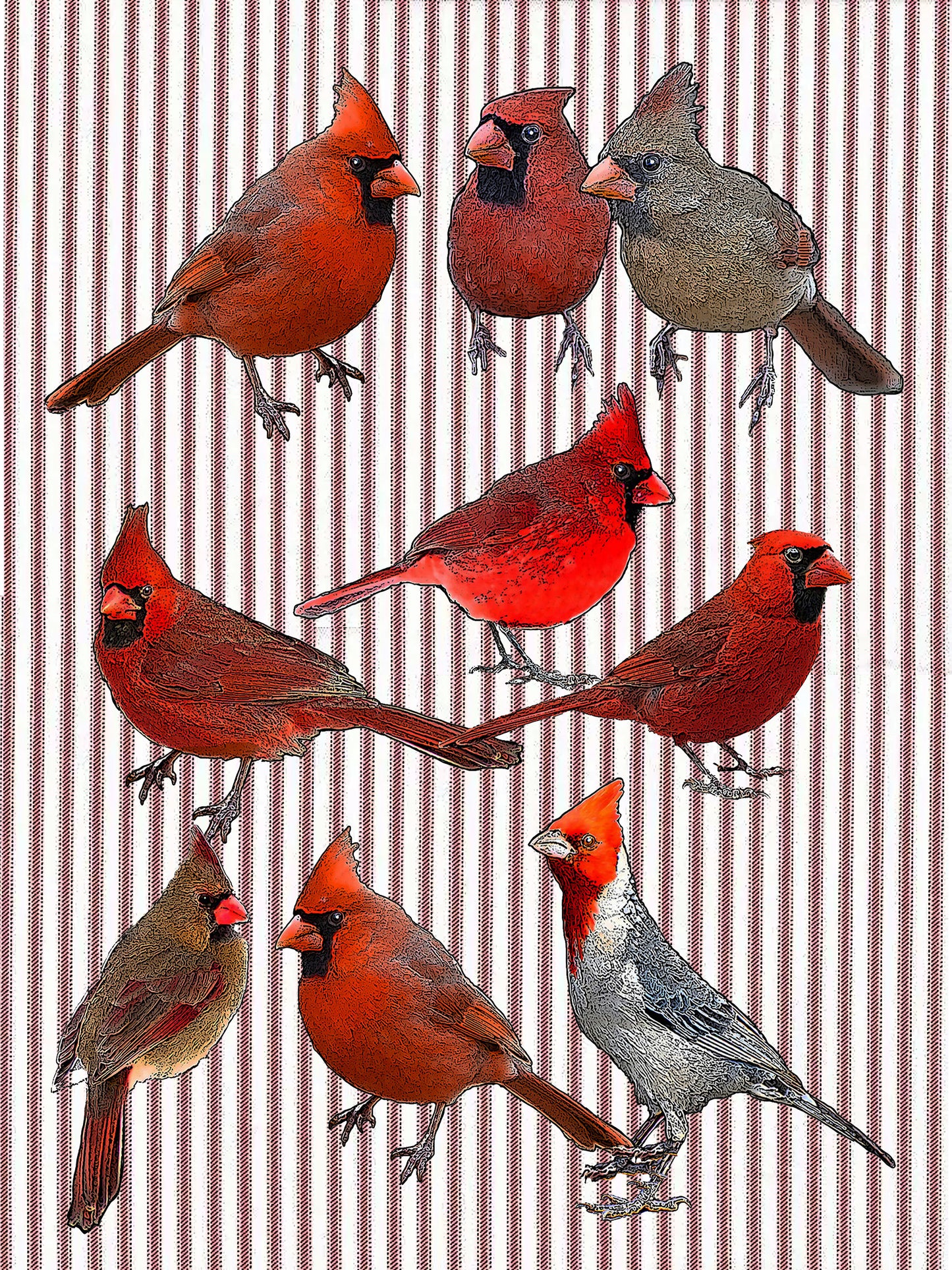 cardinal (ticking stripe) 100% cotton flour sack kitchen towel 18 x 24 inches