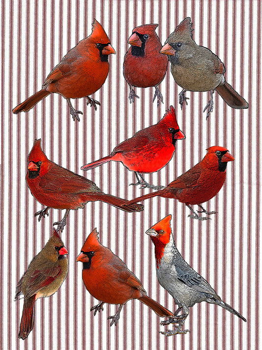 cardinal (ticking stripe) 100% cotton flour sack kitchen towel 18 x 24 inches