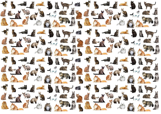cat place mat