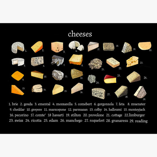 cheese vinyl placemat 12 x 17 inches