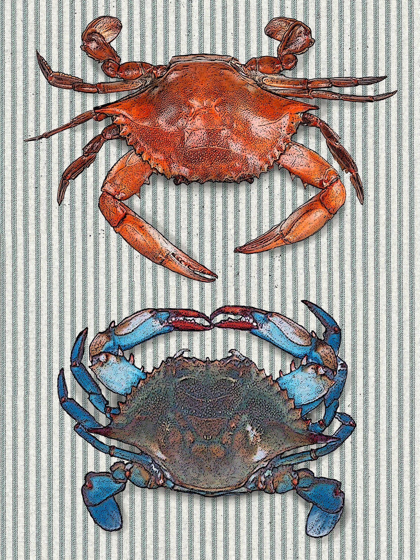 crab (ticking stripe) 100% cotton flour sack kitchen towel 18 x 24 inches
