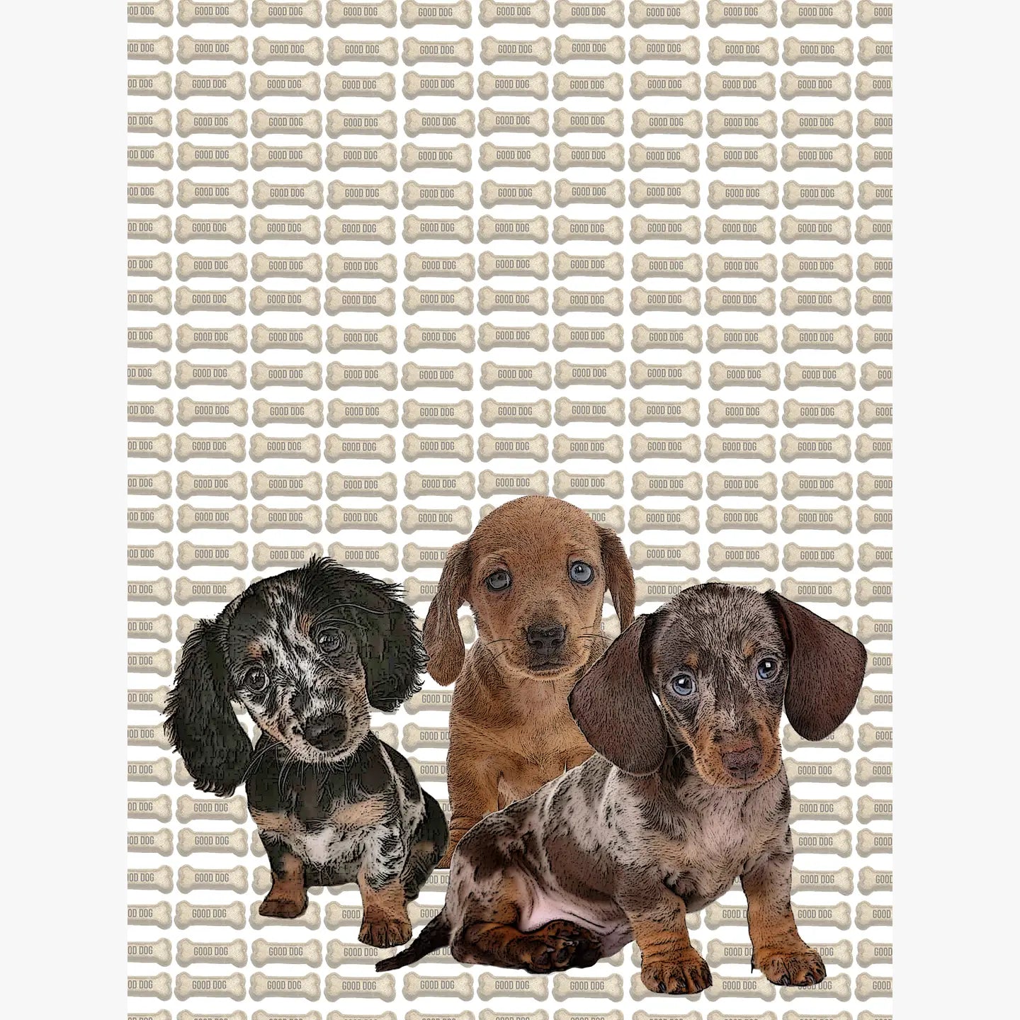 dashchund puppy kitchen towel 18 x 24 inches flour sack material