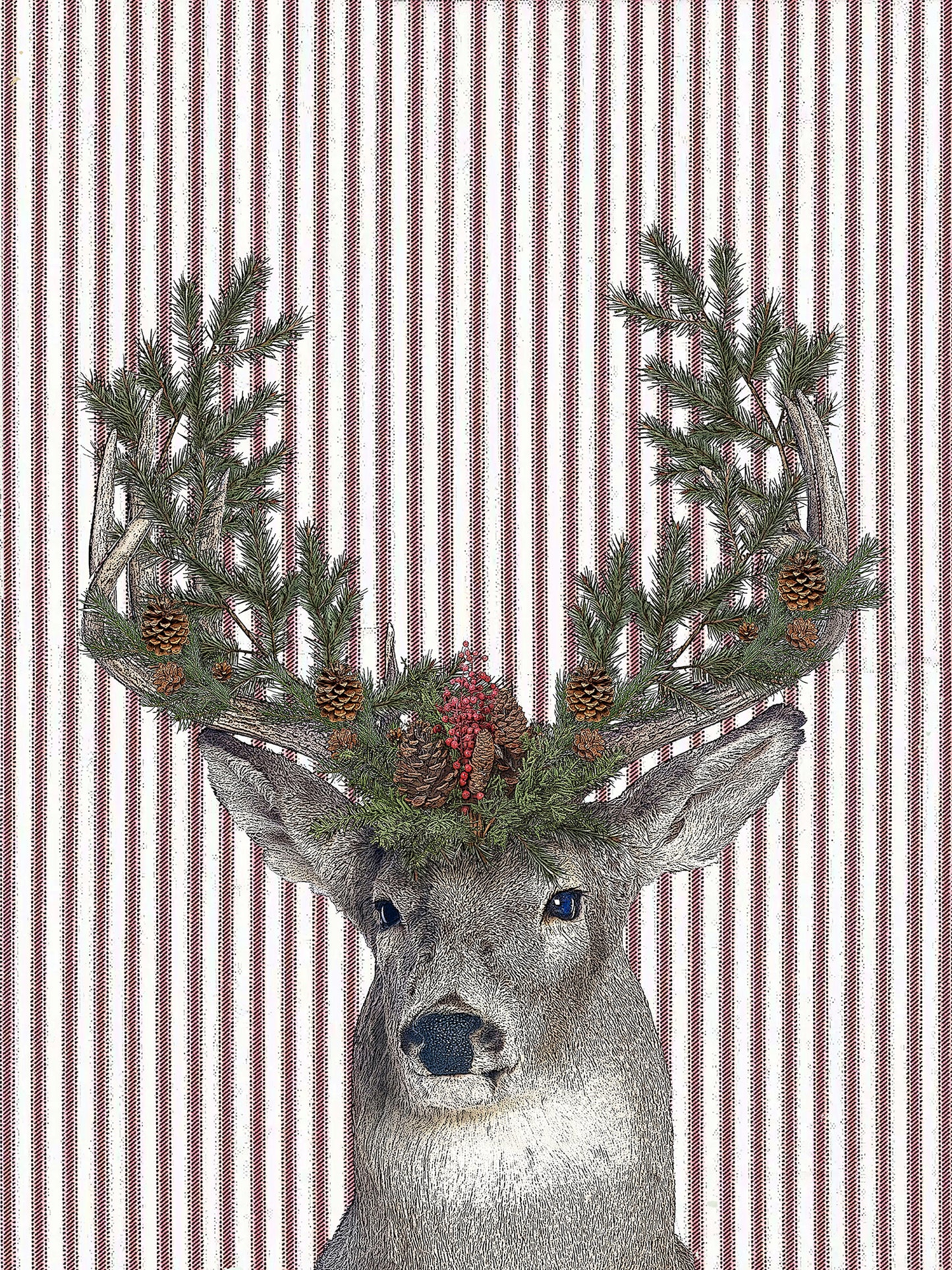 buck (ticking stripe) 100% cotton flour sack kitchen towel 18 x 24 inches