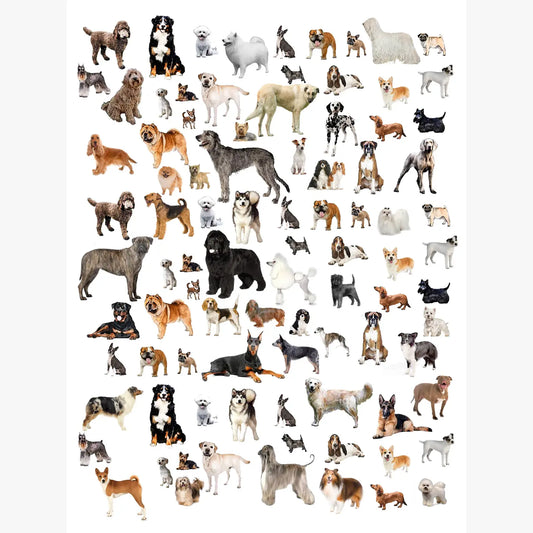 dogs cotton floursack kitchen towel 18 x 24 inches