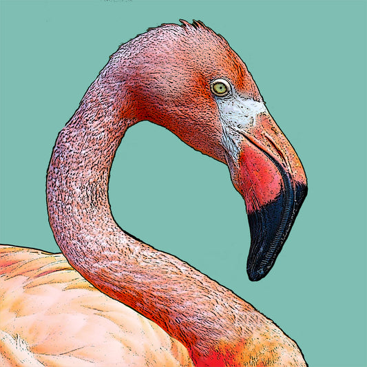 flamingo vinyl coaster set of 4