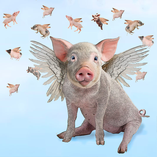 flying pig vinyl coaster set of 4