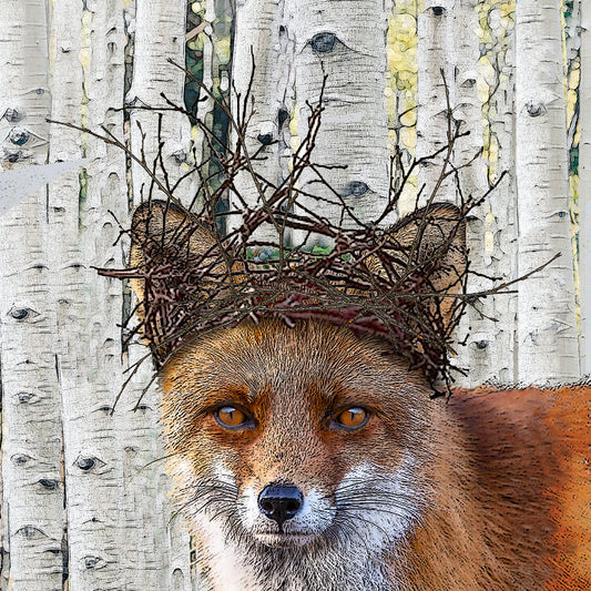 fox 2 cardboard paper coaster set of 4