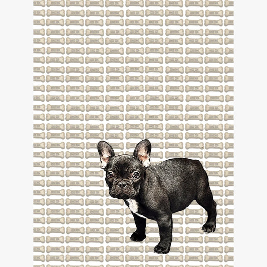 French bulldog puppy kitchen towel 18 x 24 inches flour sack material