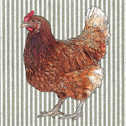 hen paper cardboard set of 4 coasters