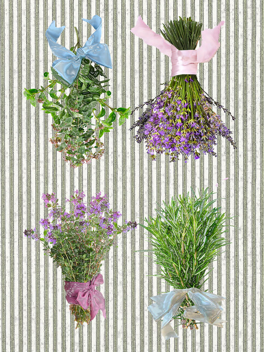 herbs (ticking stripe) 100% cotton flour sack kitchen towel 18 x 24 inches