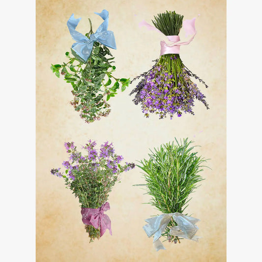 herbs cotton floursack kitchen towel 18 x 24 inches