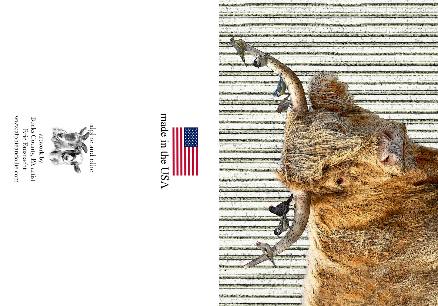 highland cow greeting card 5 x 7" made in the USA