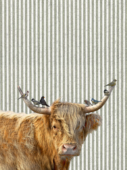 highland cow (ticking stripe) 100% cotton flour sack kitchen towel 18 x 24 inches