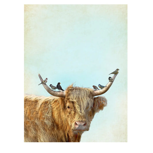 highland cow kitchen towel