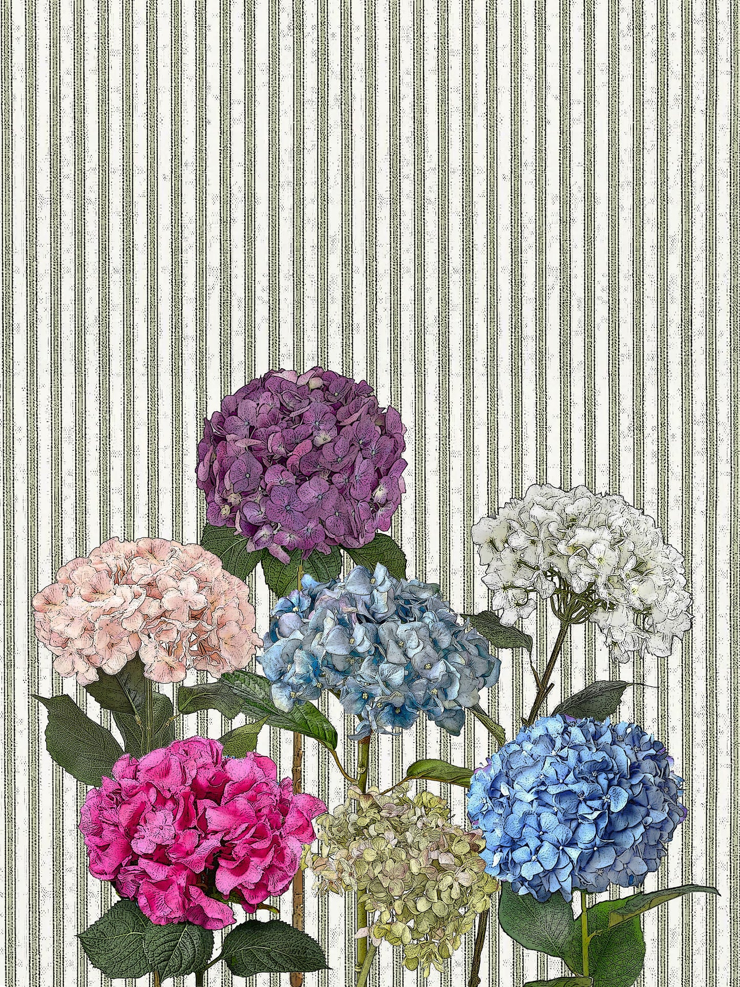 hydrangea (ticking stripe) 100% cotton flour sack kitchen towel 18 x 24 inches