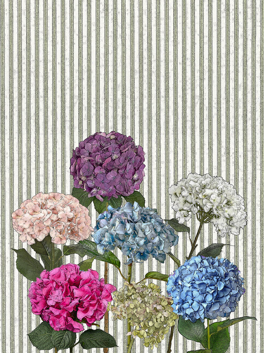 hydrangea (ticking stripe) 100% cotton flour sack kitchen towel 18 x 24 inches