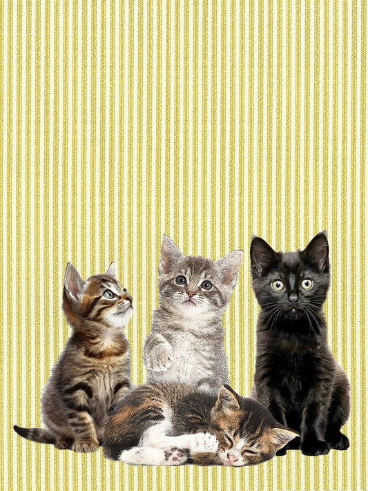Kitten (ticking stripe) 100% cotton flour sack kitchen towel 18 x 24 inches