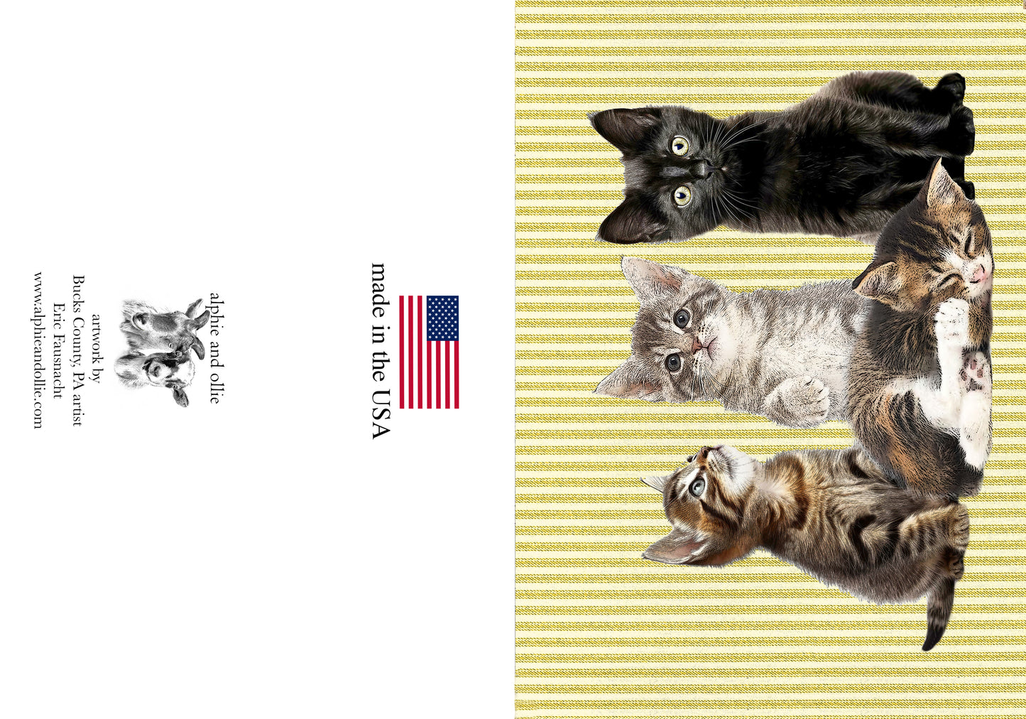 kittens greeting card 5 x 7" made in the USA