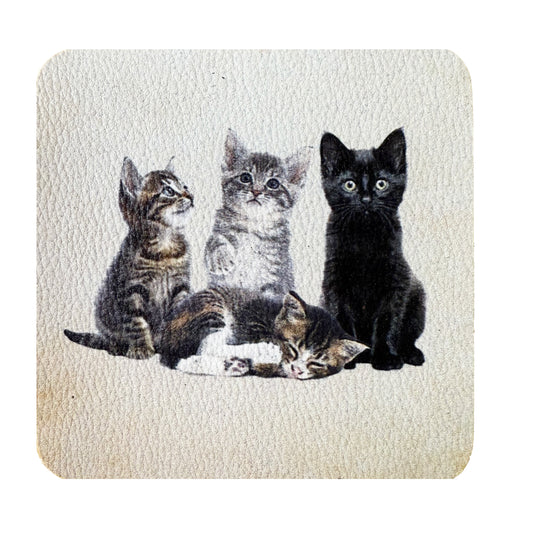 kittens coaster vinyl set of 4