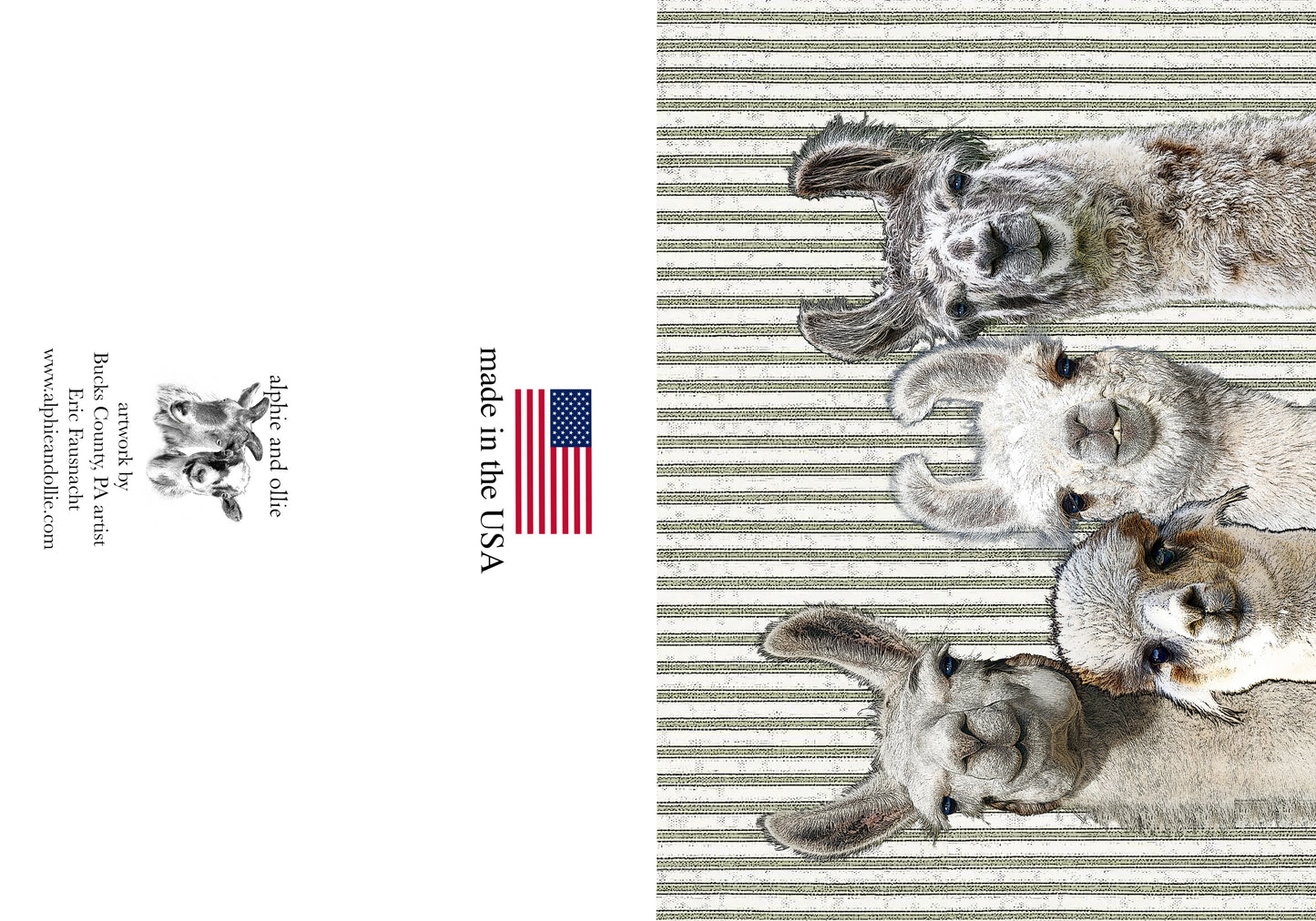 llamas greeting card 5 x 7" made in the USA