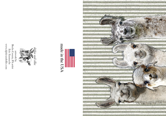 llamas greeting card 5 x 7" made in the USA